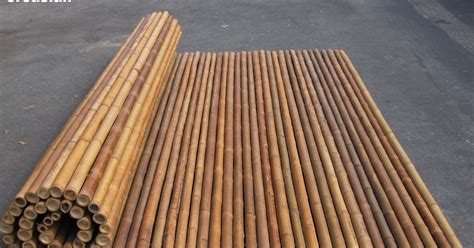 Bamboo fence roll 6 ft high - Backyard X-Scapes Natural bamboo fencing is a natural material bamboo roll fence panel. This popular bamboo fence is made from bamboo poles 3/4 in. in Dai and the fence panel is 4 ft. H and approximately 8 ft. L. Natural bamboo fences are handcrafted with commercial grade quality bamboo.